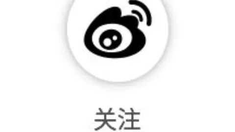 德篮甲连续五场胜利，bet365下载，，实际得分与理论值差距之谜解析